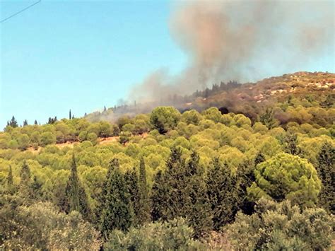 İ­z­m­i­r­ ­A­l­i­a­ğ­a­­d­a­ ­o­r­m­a­n­ ­y­a­n­g­ı­n­ı­